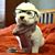 Christi Newcombe Horn's profile image