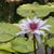 Lynn Dombrowsky's profile image
