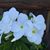 Donna Nelson's profile image