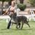 Tracey Luty's profile image