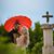 Jennifer Ferguson Cusack's profile image