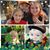 Diane Caritoni Beck's profile image