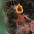 Dale Haines's profile image