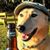 Bill Linn's profile image