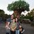 Rochelle Young Dujan's profile image