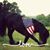 Nancy Schroeder's profile image