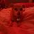 Barb Garcia McKeel's profile image