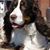 Sue White Bowers's profile image