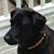 Rachel Wertheimer's profile image
