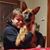 Joseph Hillenbrand's profile image