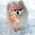 Heather Heiby's profile image