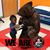 Lorelei Whitlock's profile image