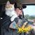 Mike Crook's profile image