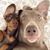 April Davis Walker's profile image