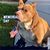 Marlene Youngheim Lombardo's profile image