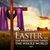 Karen Haddox Roche's profile image
