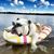 Darrin Everard's profile image