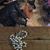 Helena Cunha's profile image