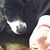 Emily Cake Gansz's profile image