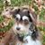 Darlene Daly's profile image