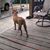 Wrennie Coker Foret's profile image