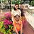 Sumit Gupta's profile image