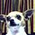 Judy Messina's profile image