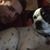 Daniel M Belanger's profile image