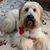 Becky Shipe Skudin's profile image