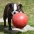 Judy Peterson's profile image