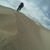 Alex Gauch's profile image