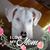 Jill Cutler's profile image