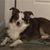 Cathy Ross Rickard's profile image