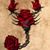 Valerie Malone's profile image