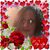 Toni Dianne White's profile image