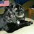 Linda Timms-Walton's profile image