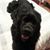 Debbie Crim's profile image