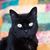 Virginia Barnes's profile image