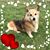 Allison Hartzoge's profile image