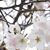 Darlene Lomastro Giarrusso's profile image