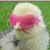 Lauri Lund Weidenhaft's profile image