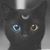 Barb Haarman's profile image