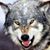 Massimo Rondinelli's profile image