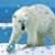 Jamie LaBelle's profile image