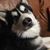 Becca L Foster's profile image