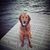 Rikki Gurney's profile image