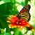 Nancy Voisinet Trevino's profile image