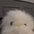 Christopher Howe's profile image