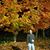 Rhianon Dulaney's profile image