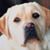 Hogan Cortez's profile image